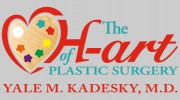 The H-art Of Plastic Surgery By Yale M. Kadesky, M.D